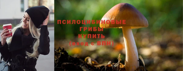 стафф Алзамай