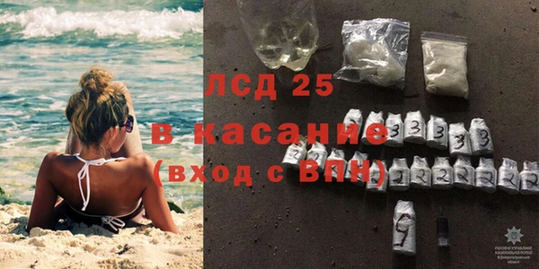 ПСИЛОЦИБИНОВЫЕ ГРИБЫ Пестово