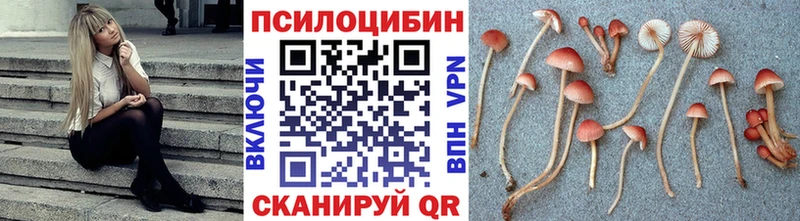 Галлюциногенные грибы мухоморы  блэк спрут tor  Аткарск  где продают  